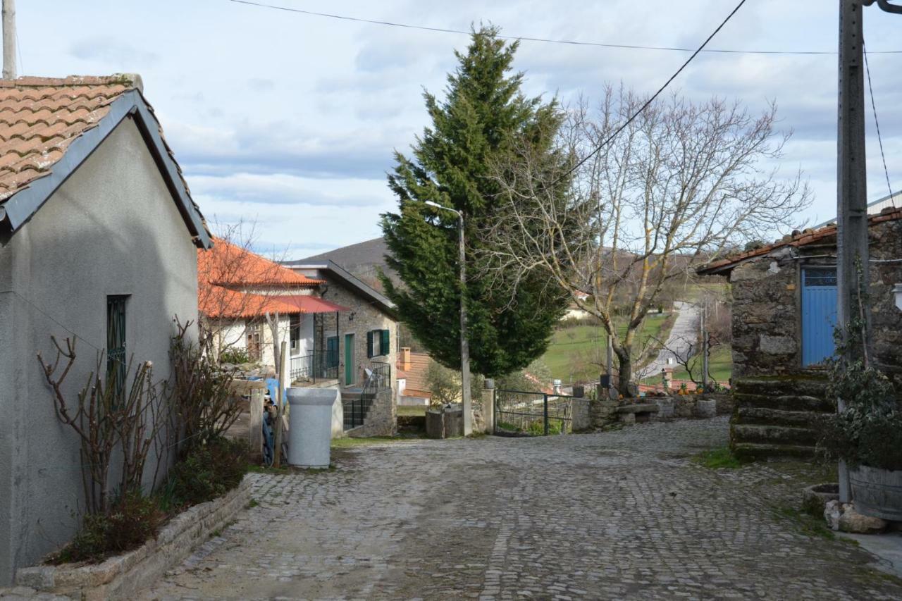Santa Comba de Rossas Casa Freixedelo 빌라 외부 사진