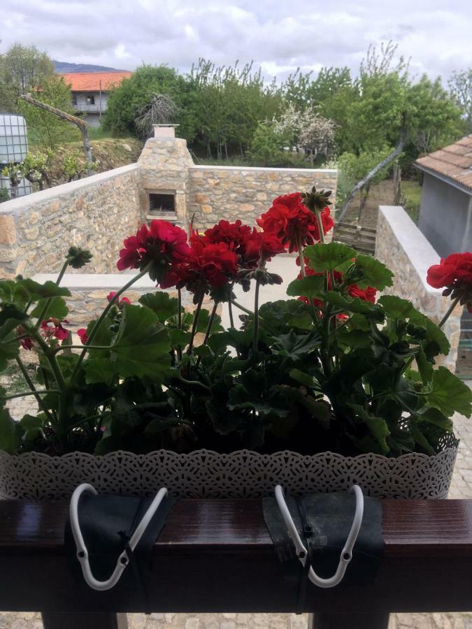 Santa Comba de Rossas Casa Freixedelo 빌라 외부 사진